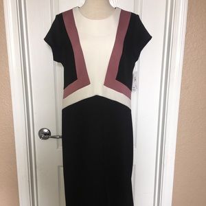 Bodycon dress. NWT.